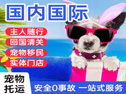 广州航空货运国际宠物托运 【国